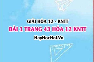 Giải bài 1 trang 43 Hóa 12 Kết nối tri thức SGK